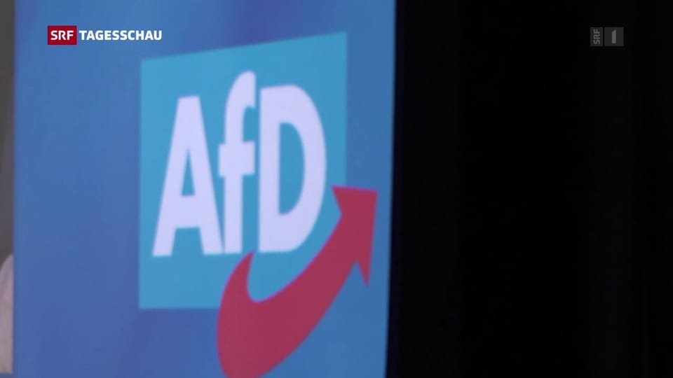 AfD-Parteitag: Jörg Meuthen bleibt im Amt