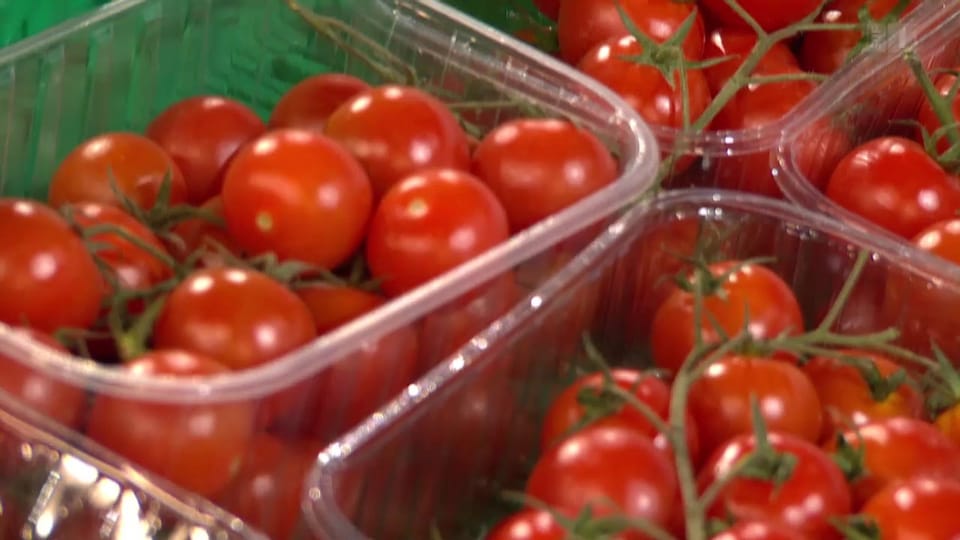 Tomaten aus Konflikt-Gebiet: Detailhändler verschleiern Herkunft