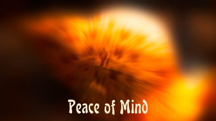 «Peace of Mind» von «Back to Earth» (2018)