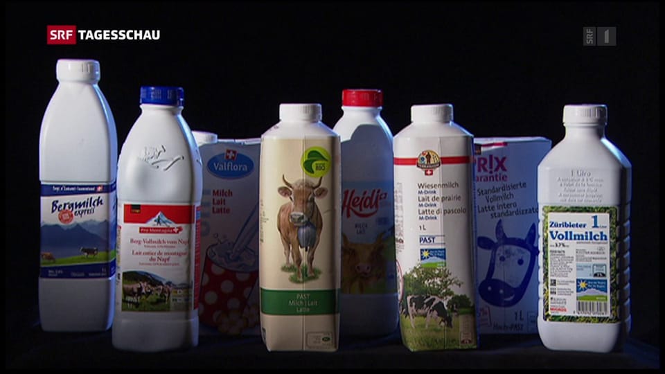 Einheitliche Standards für nachhaltige Milch gefordert