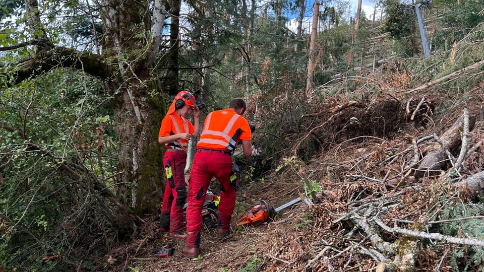 Sturm bei La Chaux-de-Fonds: Hoher Schaden im Wald