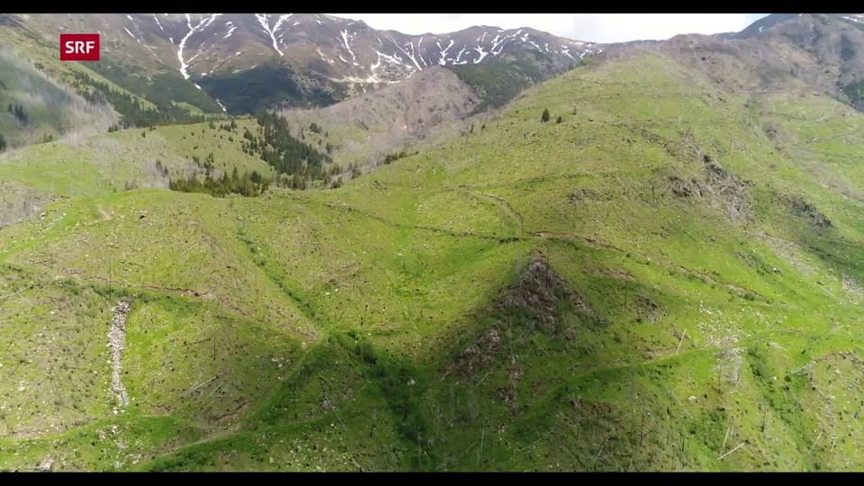 Drohnenflug über Kahlschlag in Rumänien