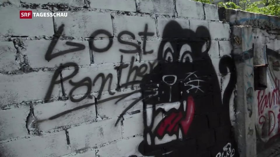 Thais protestieren mit Panther-Graffitis