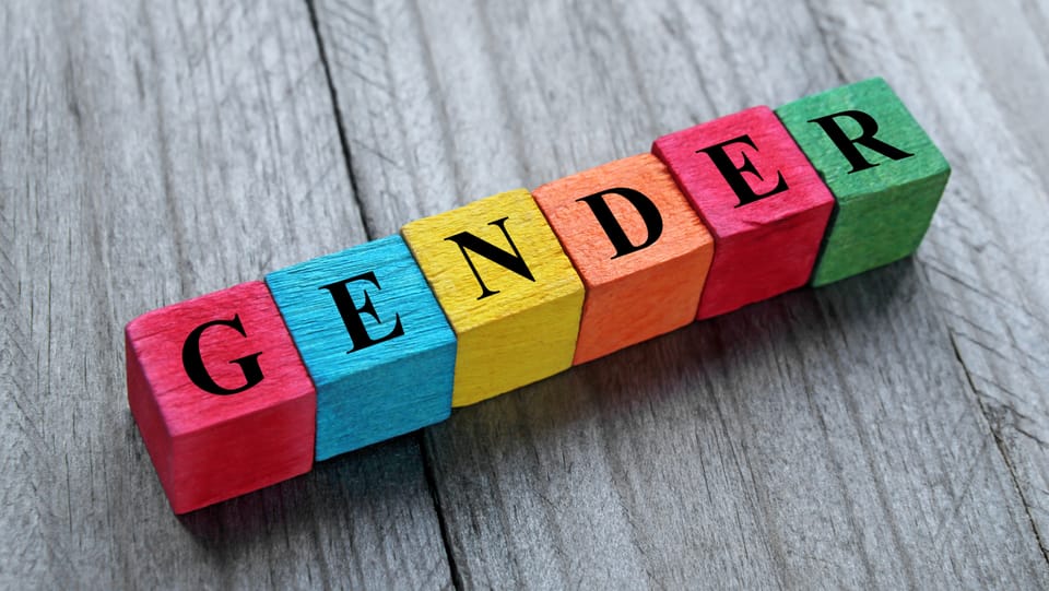 Diskussion um das Reizthema «Gender»
