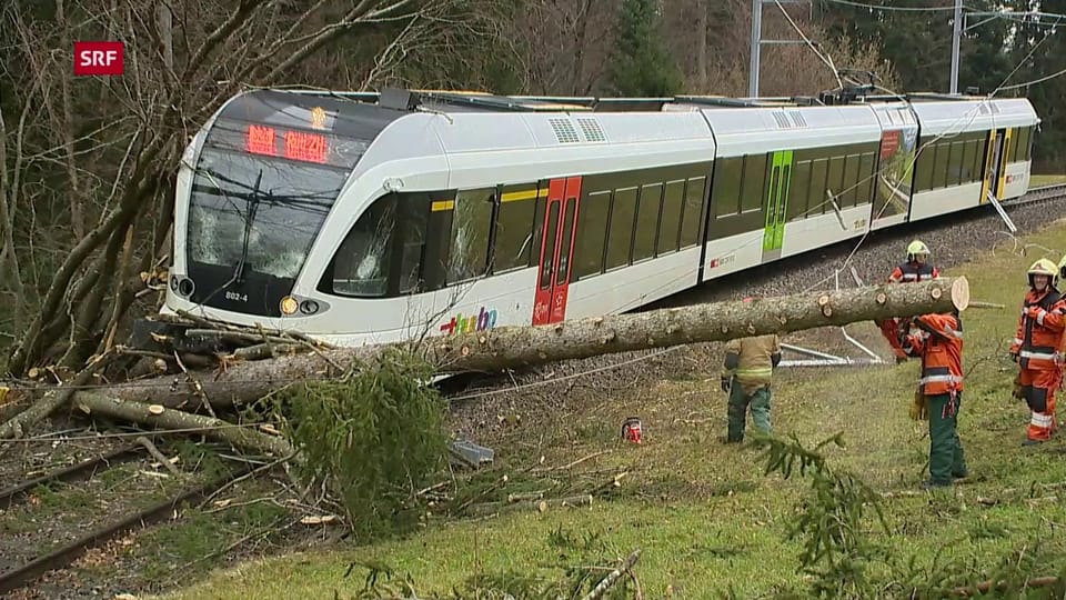 Zum Halt gezwungen: Zug in Osslingen