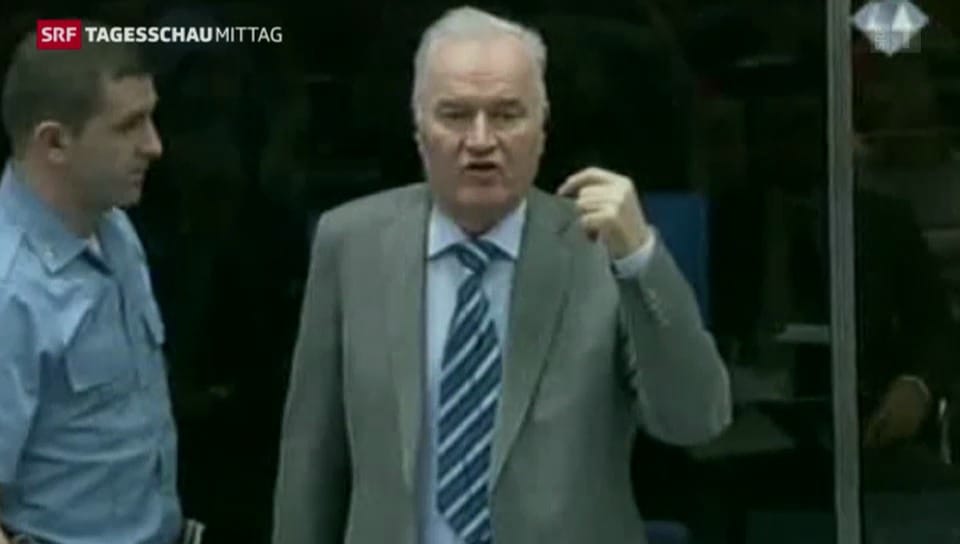 Mladic verweigert Aussage