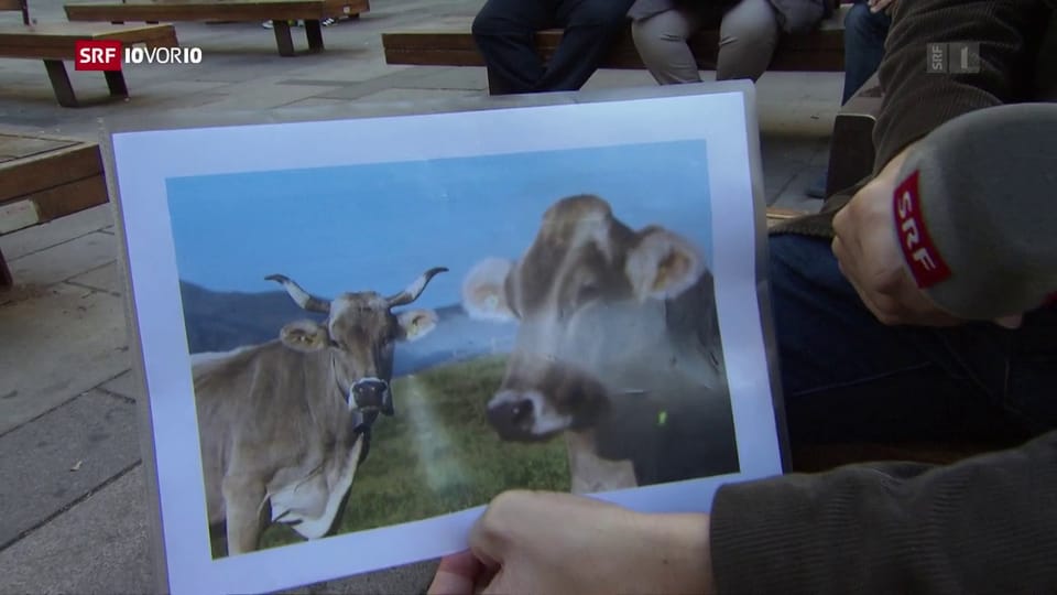 «Das Vieh soll bleiben, wie es ist», der Tenor in Österreich