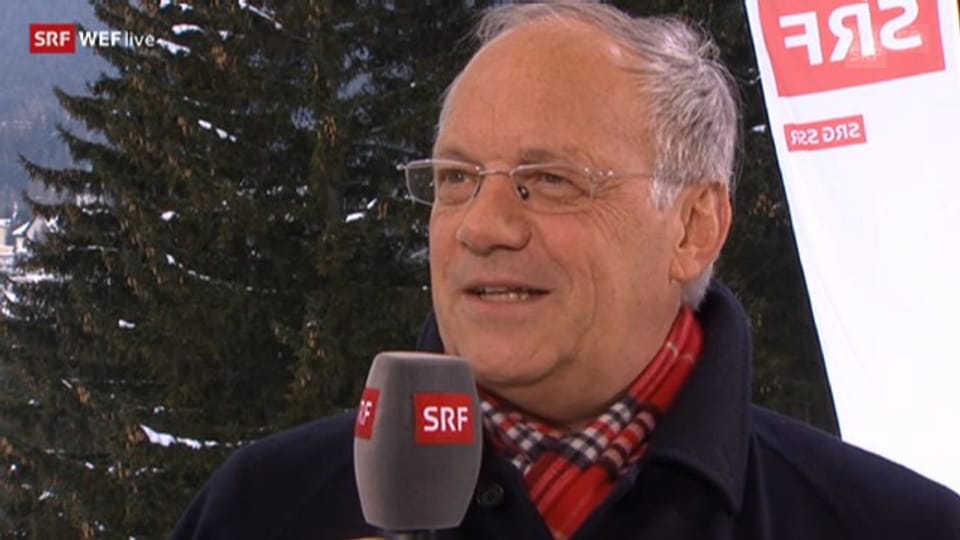 Johann Schneider-Ammann, Wirtschaftsminister