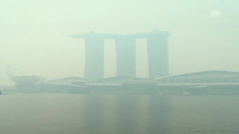 Rauchschwaden vernebeln Singapur