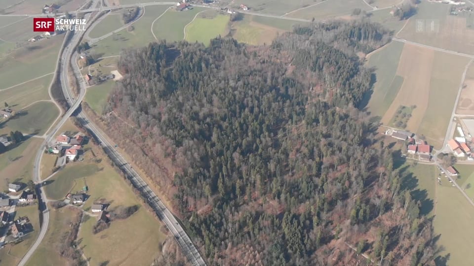 Tägernauer Holz: falscher Standort für Deponie