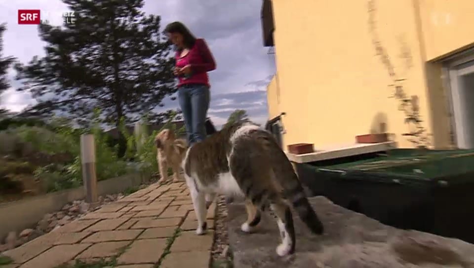 Basler Tierschutz lanciert Notfallkarte für Haustiere