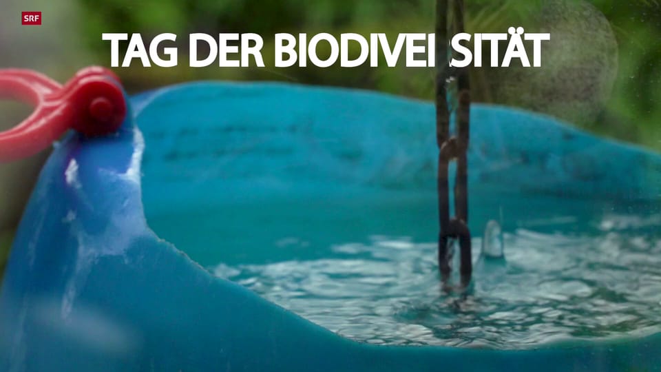 Bundesrat Albert Rösti zum Tag der Biodiversität