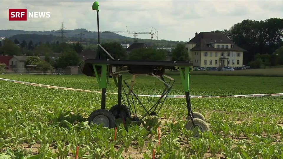 Mit Robotern gegen den Einsatz von Herbiziden