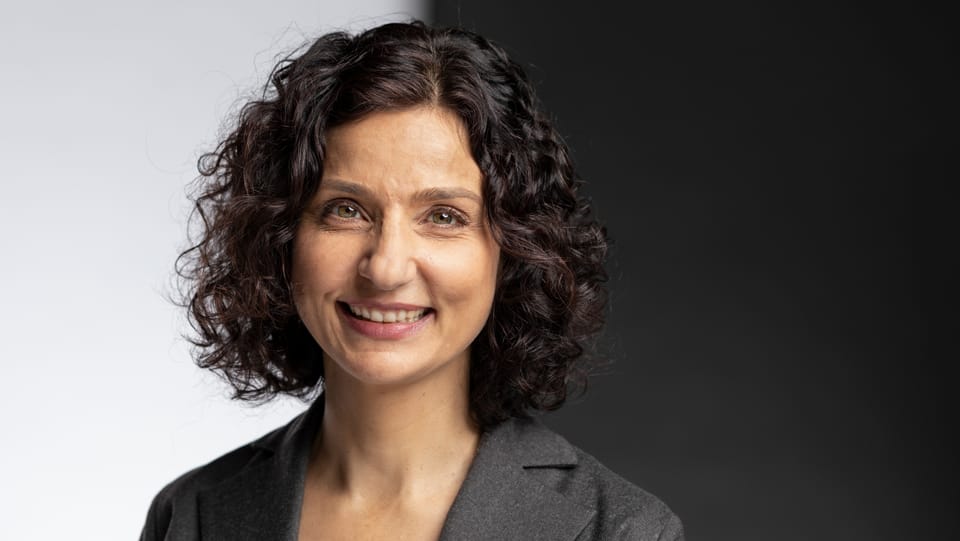 Aargauer SP-Präsidentin Gabriela Suter zum Experiment Online-Hearing