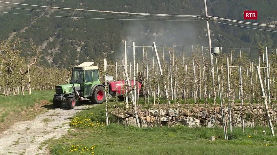Pesticids dal Tirol dal Sid fin en Val Müstair