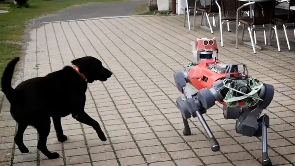 Archiv: Warum ein ETH-Roboter auf Wanderung geht