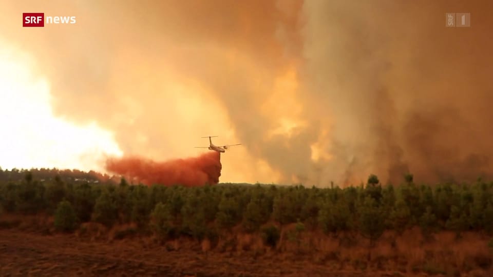 Frankreichs Kampf gegen Waldbrände