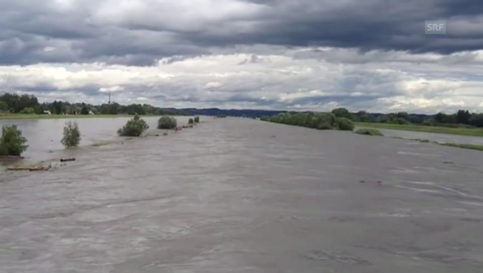 Der Rhein führt Hochwasser