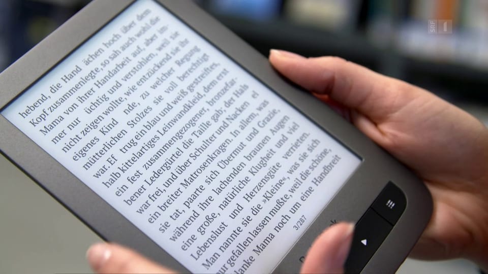 E-Reader im Test: Das Büchergestellt in der Tasche