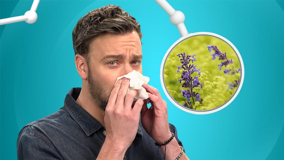 Heuschnupfen & Allergien – Wenn die Natur zum Feind wird