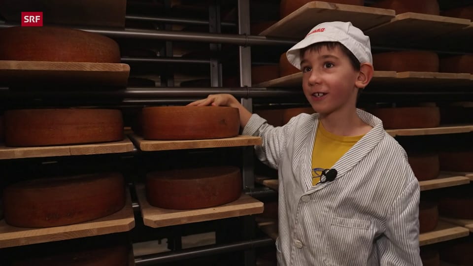 Wie wird Käse hergestellt?