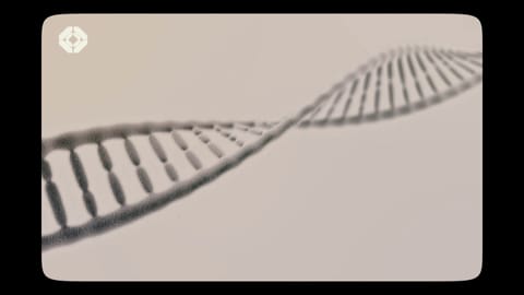 Was ist die DNA? (Folge 20)