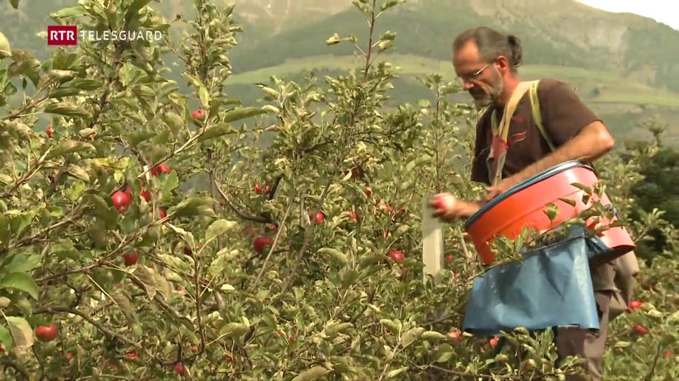 Attatga cun pesticids en il Tirol dal Sid