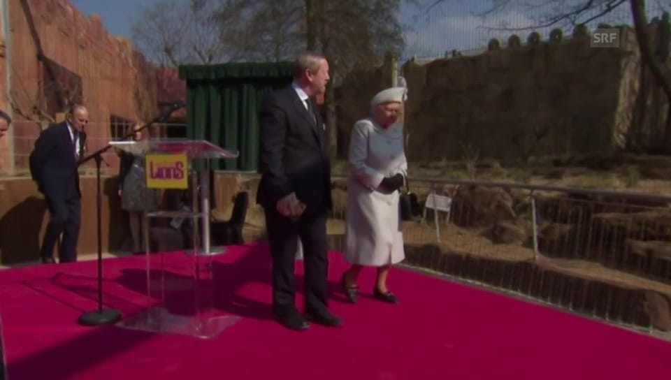 Queen Elizabeth eröffnet Löwengehege