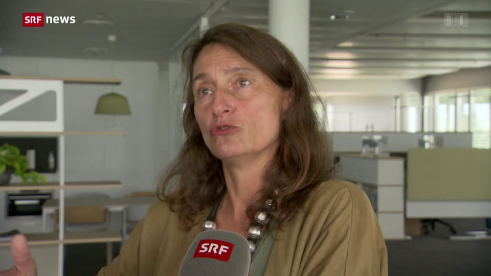 Ursula Oesterle: «Schweiz braucht Hilfe bei der Industrieaufnahme der Forschung»