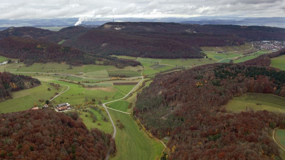 Mehr Wald für den Aargau? Eine Gruppe von Architekten hat eine Idee