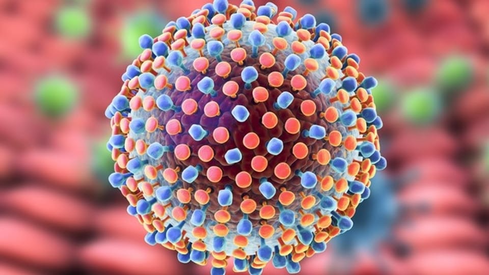 Hepatitis C – Ausrottung in Reichweite