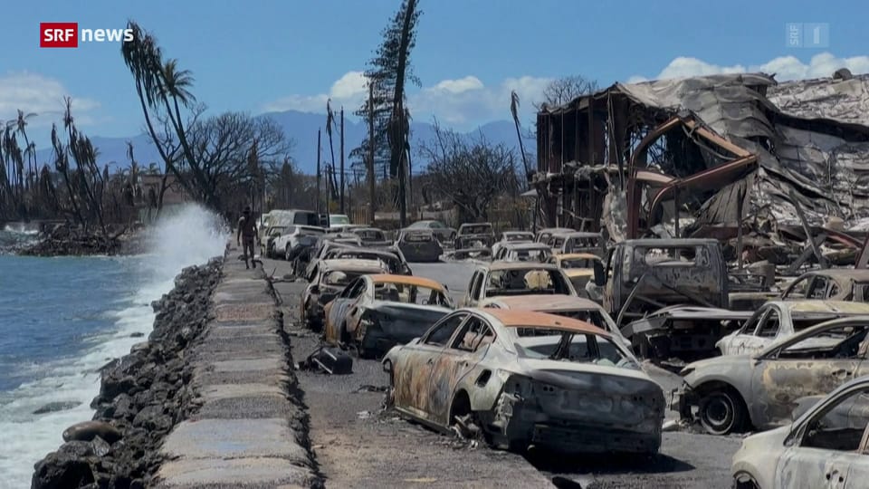 Lahaina auf Maui niedergebrannt: Aufräumarbeiten beginnen