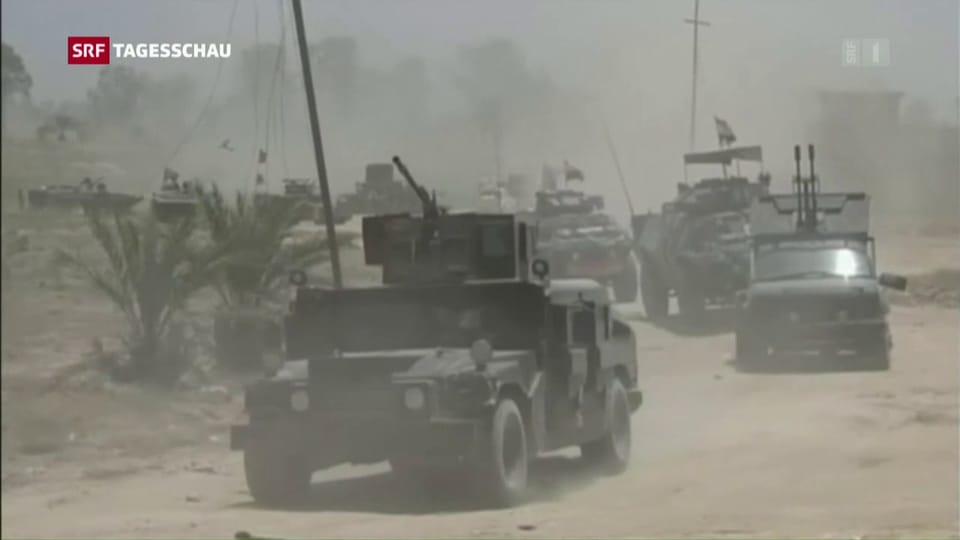 Irakische Armee beginnt Sturm auf IS-Hochburg Falludscha
