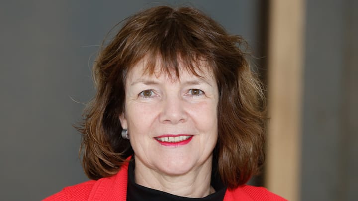 Abgewählte SP-Stadträtin Judith Luthiger: «Man hat sich für Konkordanz entschieden»