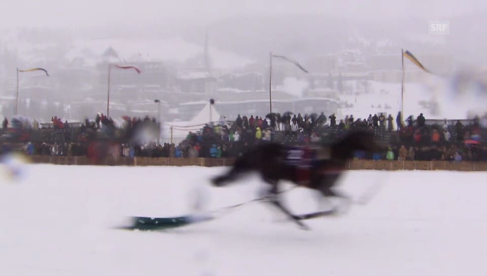 Brigitte Oertli verliert Pferd beim Skijoering