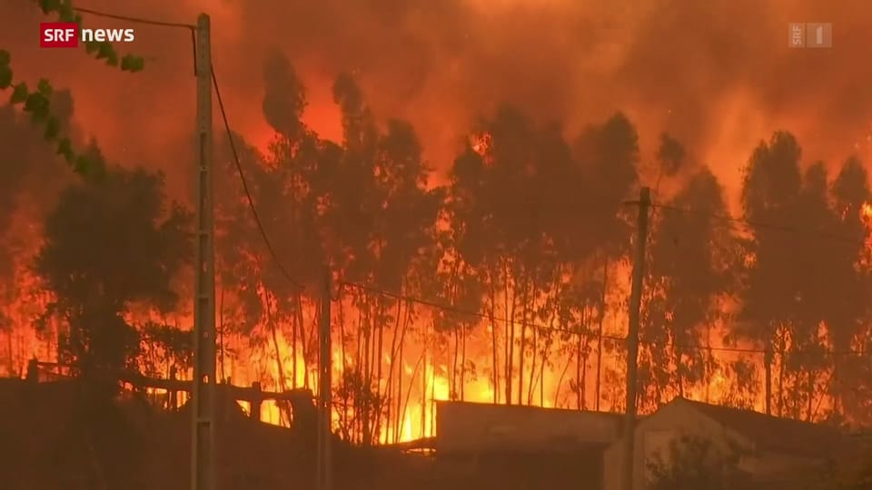 Hitze und Waldbrände in Südeuropa