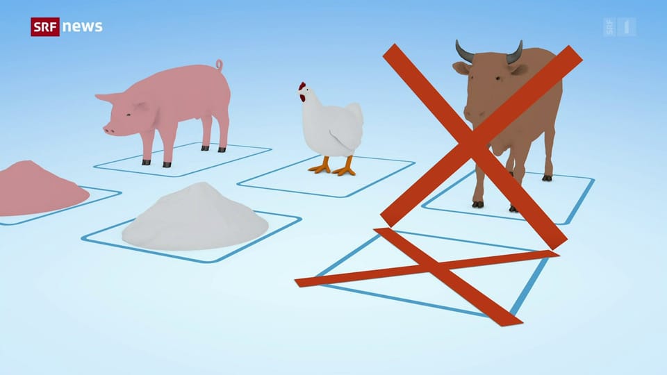 EU und Schweiz wollen Tiermehl teilweise wieder zulassen