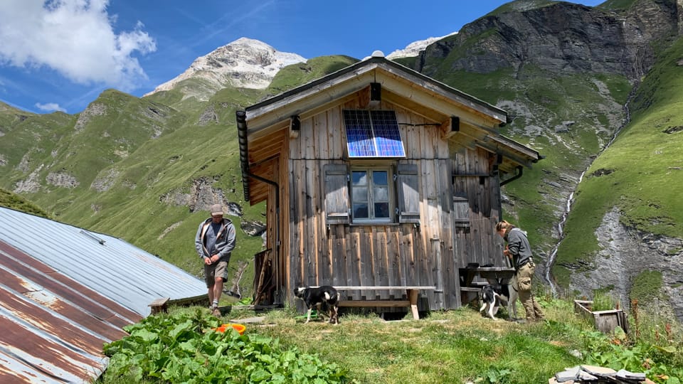 Nach Tod einer Herdenschutzhündin: Ein Besuch auf der Alp Stutz