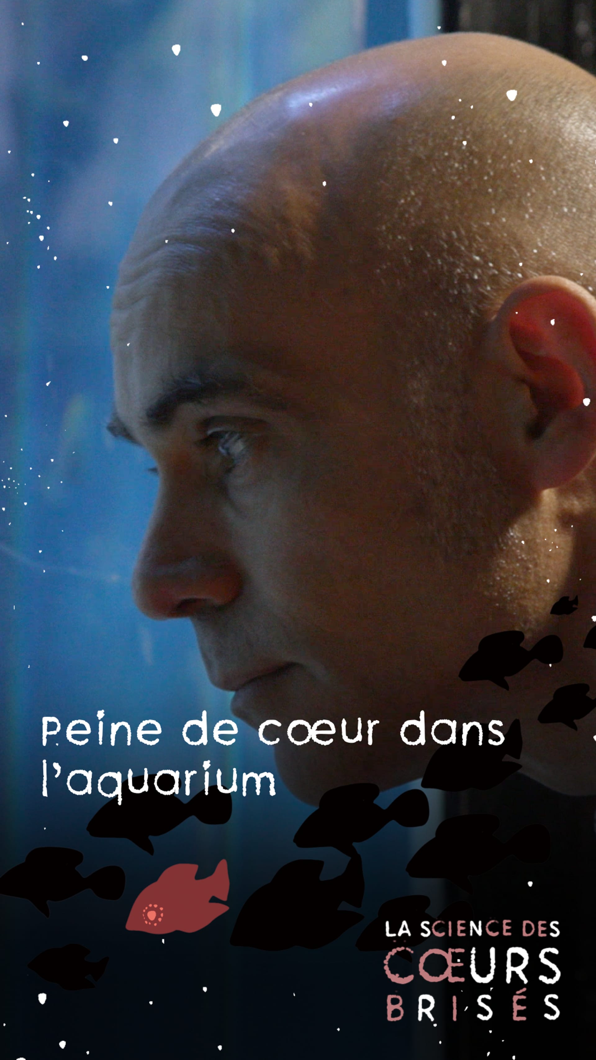 La science des coeurs brisés - Peine de coeur dans l'aquarium - Play RTS