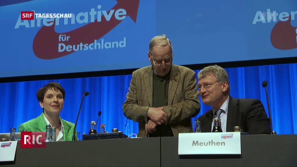 Parteiprogramm AfD stellt Parteiprogramm vor - Tagesschau - Play SRF