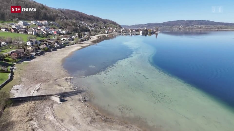 Bodensee Wasserstand Erreicht Historischen Tiefststand Schweiz bodensee-wasserstand-erreicht-historischen-tiefststand-schweiz
