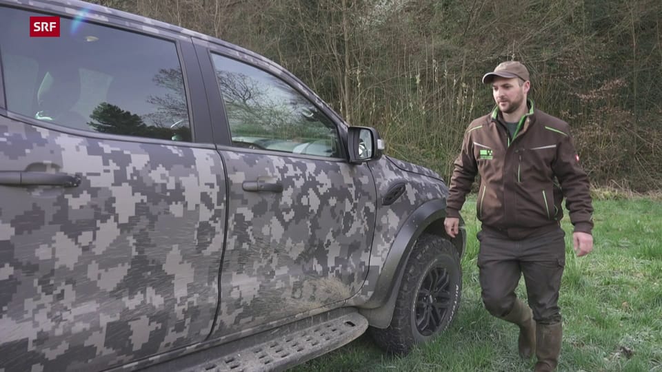 WaschbÀr in der Falle - News-Clip - Play SRF