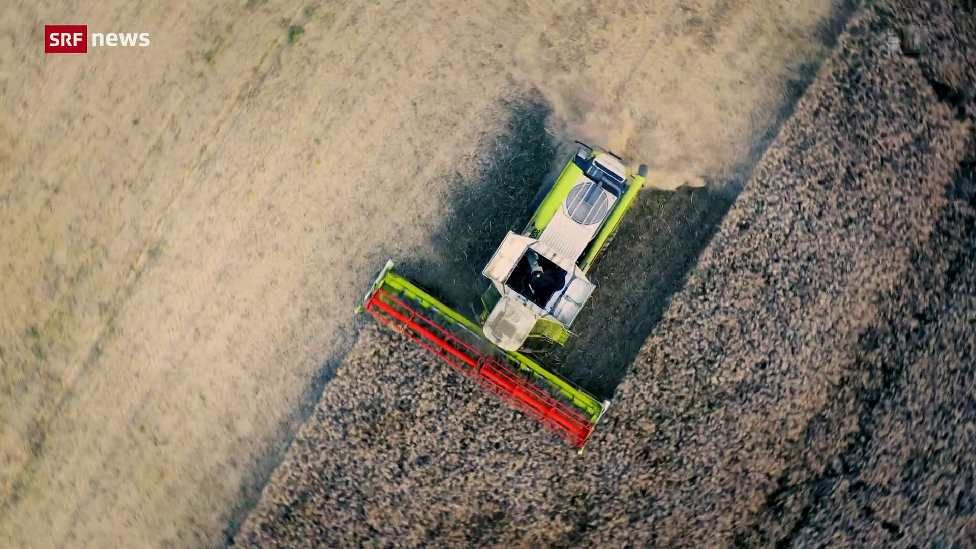 Tagesschau - CO2-Abgabe für Landwirtschaft in Dänemark - Play SRF Tagesschau - CO2-Abgabe für Landwirtschaft in Dänemark - Play SRF