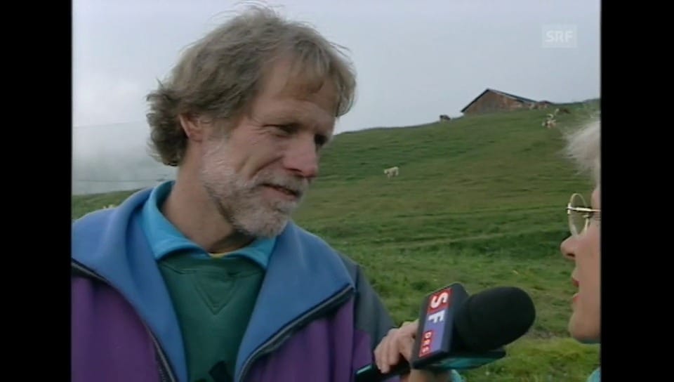 Schweiz aktuell Interview Homberger Play SRF