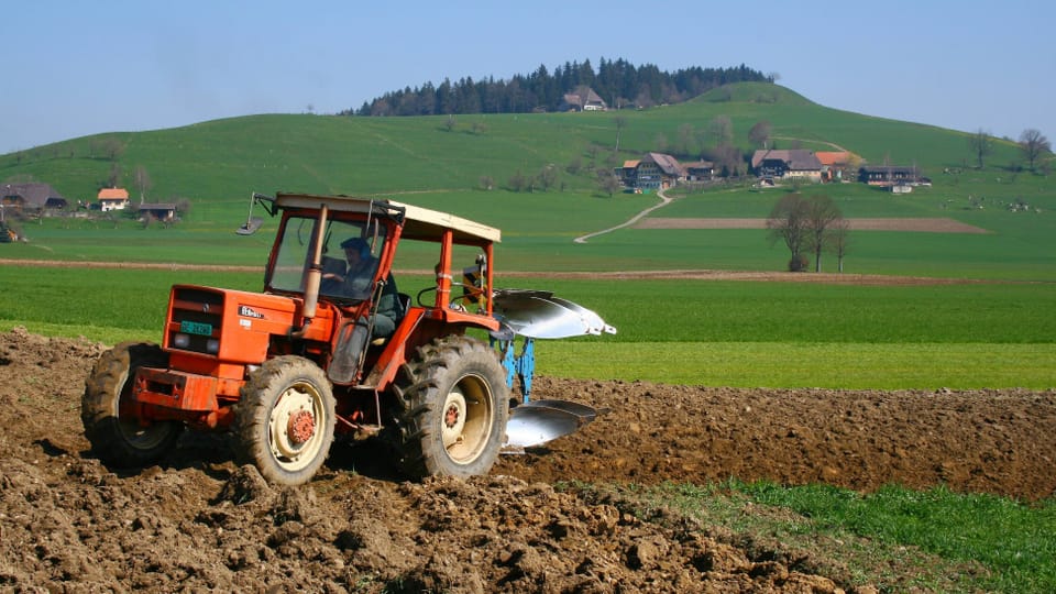 Arena Aufstand der Bauern gegen die Agrarpolitik Play SRF