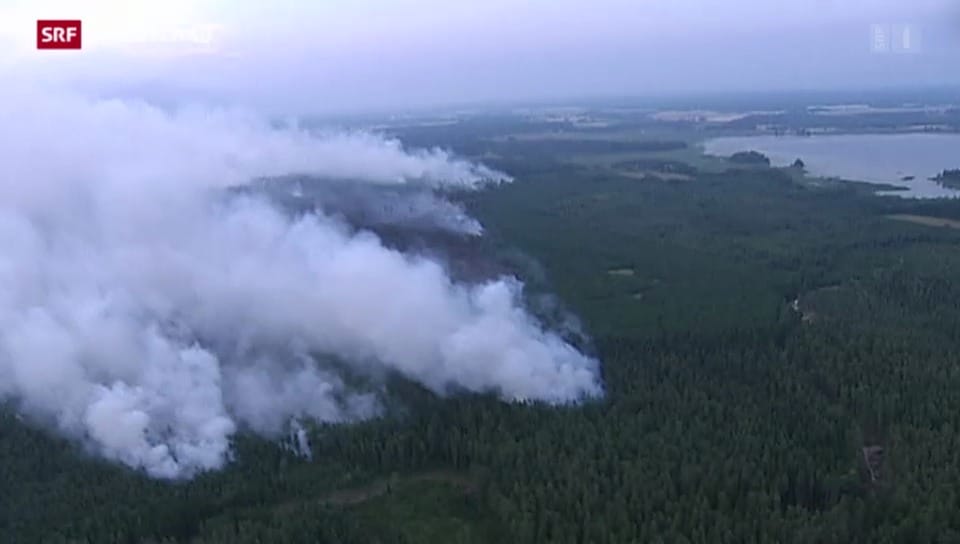 Tagesschau - Schwere Waldbrände in Schweden - Play SRF Tagesschau - Schwere Waldbrände in Schweden - Play SRF