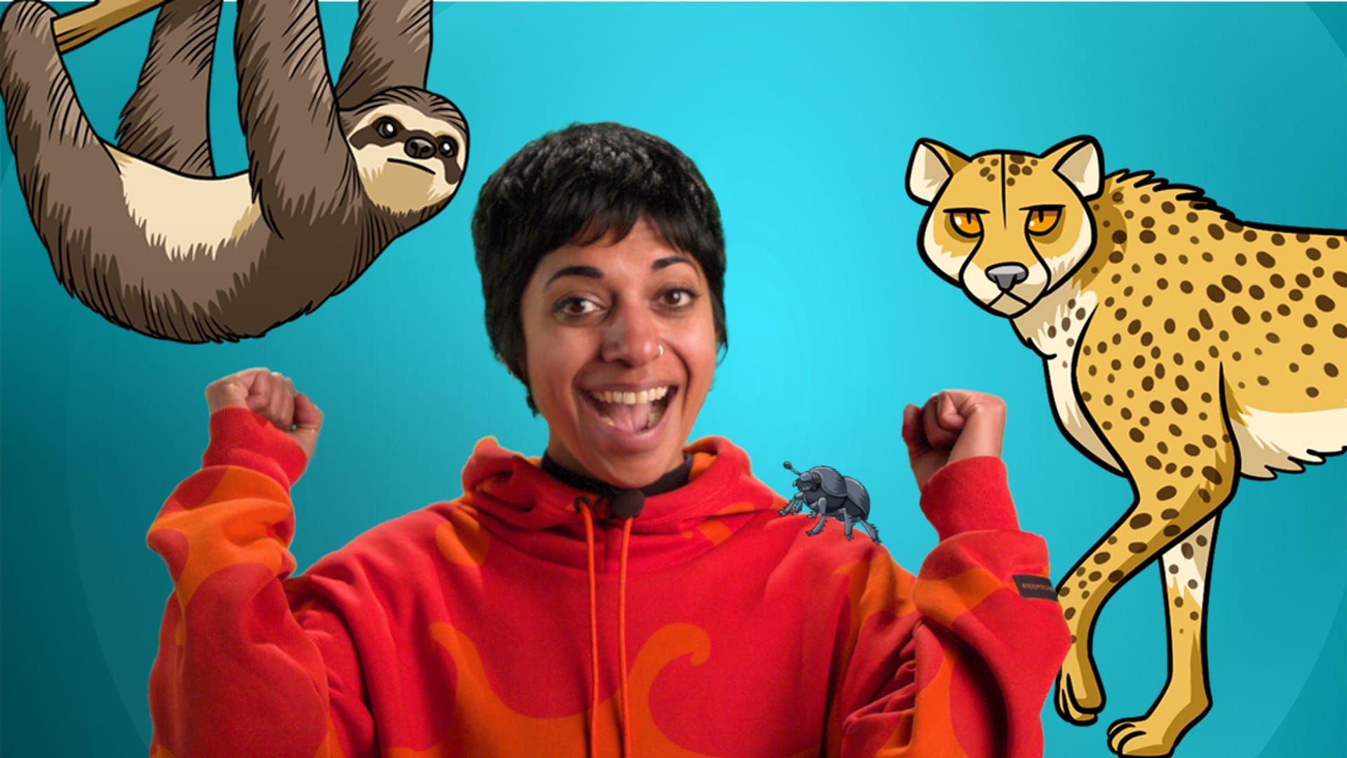 SRF Kids Clip Und Klar Tierische Bestleistungen Im Fokus Play SRF srf-kids-clip-und-klar-tierische-bestleistungen-im-fokus-play-srf