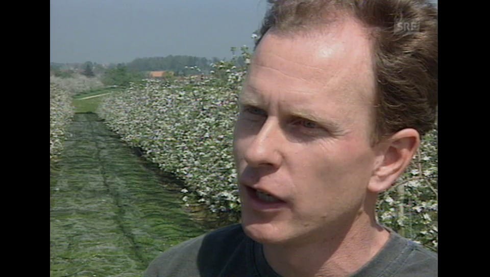 Schweiz aktuell MaikäferBekämpfung Play SRF