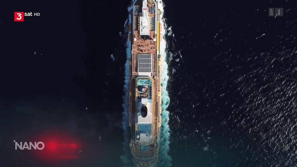 nano - Massive Bedrohung – Lärmverschmutzung im Meer - Play SRF