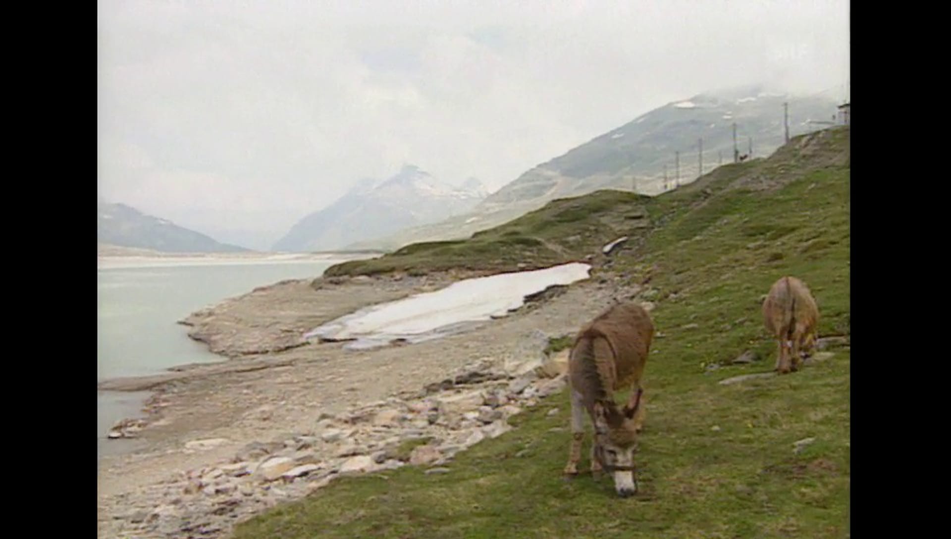 Schweiz aktuell Konzession Play SRF